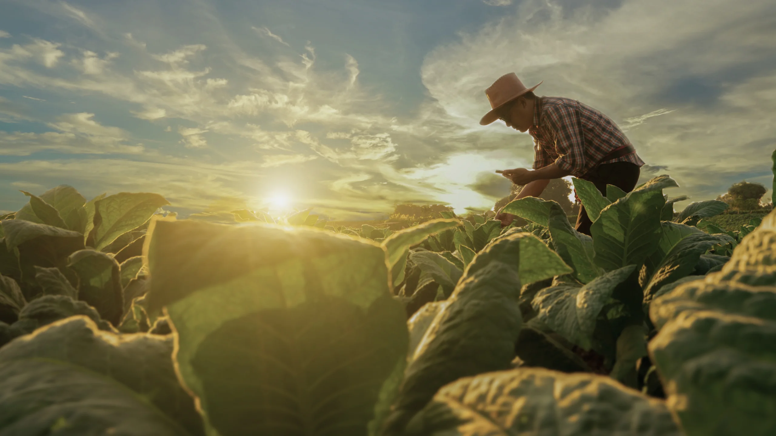Food and agriculture software platform